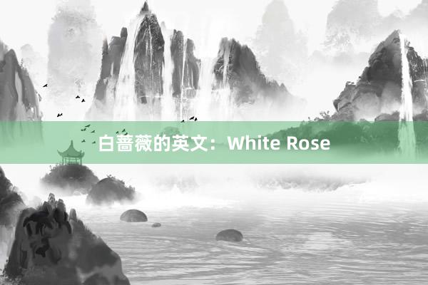 白蔷薇的英文：White Rose